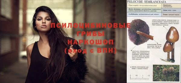 эйфоретик Зерноград