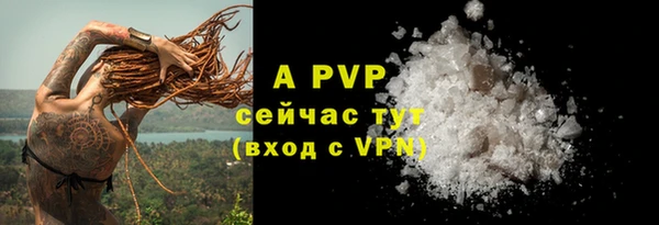 эйфоретик Зерноград