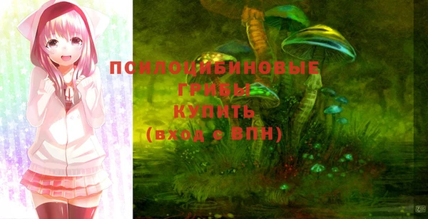эйфоретик Зерноград